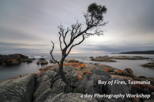 Bay of Fires Photography Workshop