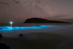 bioluminescence-tasmania-south-arm