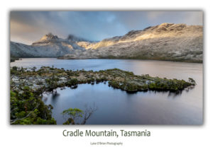 Winter dawn, Cradle Mountain