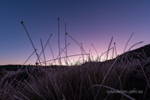 buttongrass dove lake tasmania