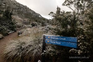 The Dove Lake track signpost covered in snow