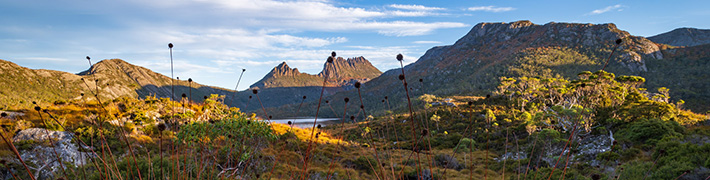 cradle mountain photography tour tasmania
