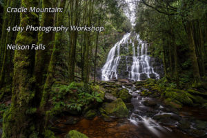 Nelson Falls, Tasmanian Wilderness World Heritage Area