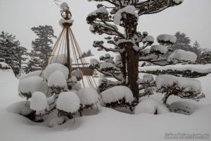 One of the gardens in Horosaki during blizzard like conditions in January 2023