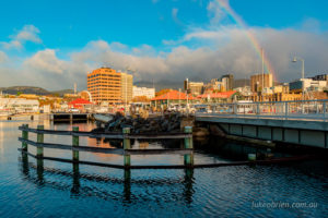 Rainbow Hobart waterfront