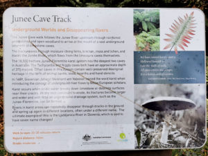Junee Cave Maydena Tasmania