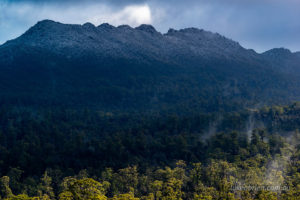 Florentive Valley forests South West Tasmania