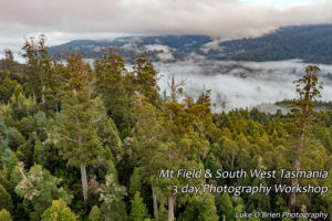 styx valley photo tour tasmania