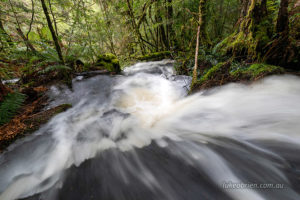 gold creek waterfalls styx valley tasmania