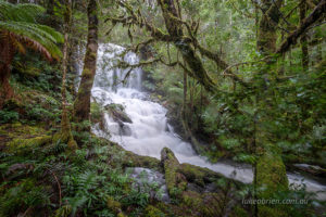 gold creek waterfalls styx valley tasmania