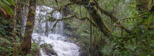 gold creek falls styx valley tasmania