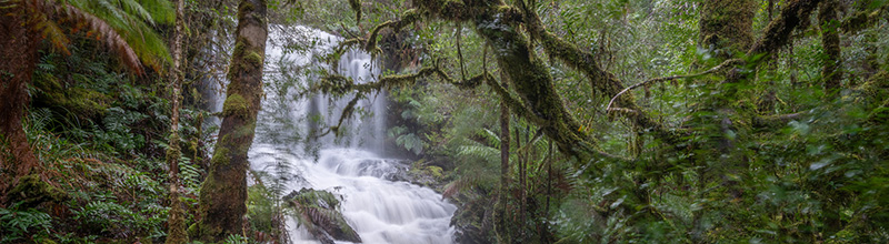 gold creek falls styx valley tasmania