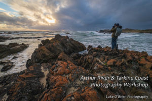 Arthur River and Tarkine Coast 5 day photography workshop