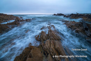 Arthur River and Tarkine Coast Photography Workshop