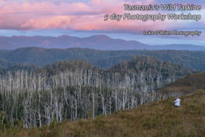 Tarkine landscape photography tour Tasmania