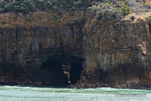 Tasman Island Cruise Remarkable Cave
