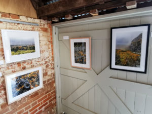 Current exhibition at the Tasmanian Photography Gallery, Richmond Botanicals